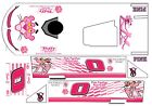 #0 Pink Panther Crate Dirt Late Model 1/24 Waterslide Decal fits Caveman