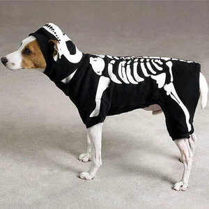 Casual Canine GLOW BONE Skeleton Dog Halloween Costume Glow-In-The-Dark Spooky - Picture 1 of 1