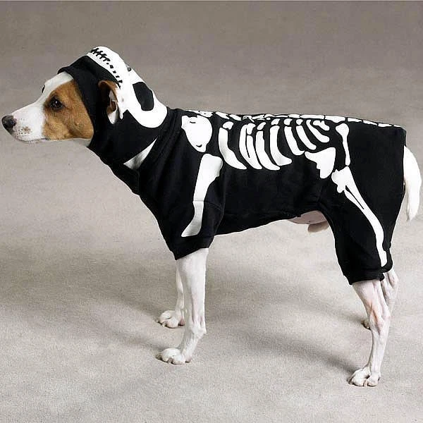 Fantasia casual canina GLOW BONE esqueleto cachorro Halloween brilho no escuro assustador - Imagem 1 de 1