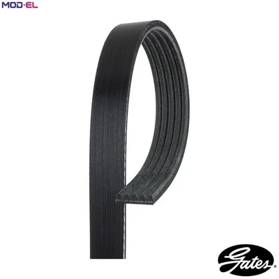 VRIBBED BELT 5PK738 FOR PEUGEOT FERRARI 348/Spider/tb/GTB  LAND ROVER   MG - Image 1 of 4