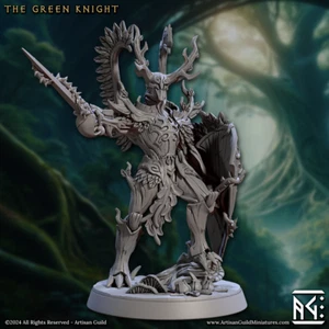 Green Knight - Oath of Ancients Paladin - Artisan Guild - Dungeons and Dragons - Picture 1 of 2