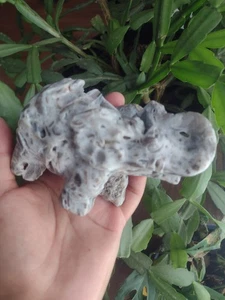 Druzy Sphalerite Elephant Carving Crystal Stone - Picture 1 of 8