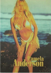 Pamela Anderson, sexy Vintage Postkarte - Bild 1 von 1