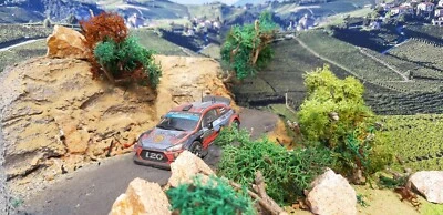  Hyundai i20    RALLY   MODELLISMO DIORAMI SCALA1/43 - Immagine 1 di 4