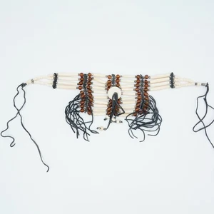 Gargantilla collar de pechuga de hueso de búfalo natural con cuentas de vidrio marrón joyería nativa - Imagen 1 de 1