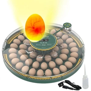 Incubadora de huevos HBN 52 con giro automático de huevos y control de temperatura - Imagen 1 de 9