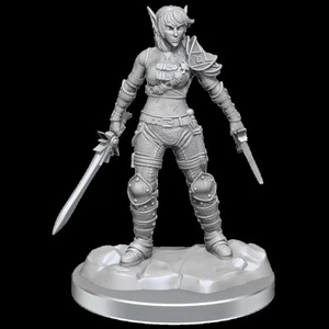 D&D Nolzurs Marvelous Unpainted Miniatures: Elf Rogue & Half-Elf Rogue Protege - Picture 1 of 2
