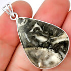 Natural Mexican Cabbing Fossil 925 Sterling Silver Pendant Jewelry P-1001