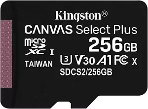 Scheda di memoria 256 GB KINGSTON MICROSD AD ALTA VELOCITÀ CLASSE 10 per TELEFONI E TABLET - Foto 1 di 5