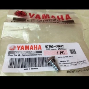Univesal SCREW Fit for Yamaha YBR R1 FJR TMAX XMAX 2007-2024 977025001200 OEM - Imagen 1 de 3