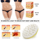 1*Anti Cellulite Massager Stain Remover Slimming Brush Relaxation Scrub Massager