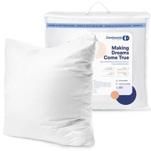 Decorative Throw Pillow Goose Down and Feather Fill 10/90, 18x18 inch, White - Picture 1 of 9