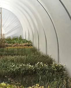 14ft W x 54ft L Full Curve Conventional Polytunnel Kit, Heavy Duty Greenhouse - Picture 1 of 10