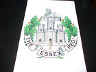The Essex Regiment Crest 7X5 Inch Approx Crest Sticker