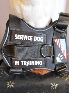 Perro de Servicio - Chaleco - con Mango Vertical - Entrenamiento - Chaleco para Cachorro Pequeño Arnés 300-35 - Imagen 1 de 10