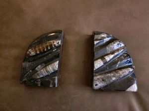 Bookends Fossil Orthoceras Heavy Black Marble Orthoceras Fossil Bookends BULK064 - Picture 1 of 11
