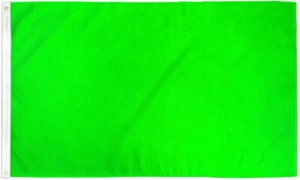 Flagge "NEONGRÜN" 2x3 ft Polyester Banner Schild einfarbig limette verde - Bild 1 von 5