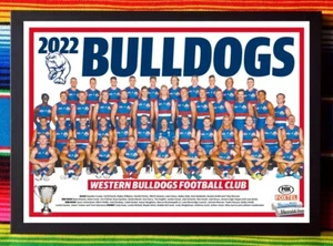 Framed 2022 WESTERN BULLDOGS AFL Poster - 62cm x 44.5cm x 3cm - Bild 1 von 4