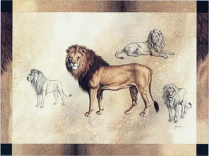 León de arte de vida silvestre con piel Judy Gibson 24x18 pulgadas - Imagen 1 de 1