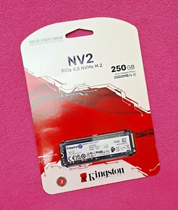 Kingston NV2 250GB PCIe 4.0 M.2 NVMe Internal SSD (SNV2S/250G) - Photo 1/1