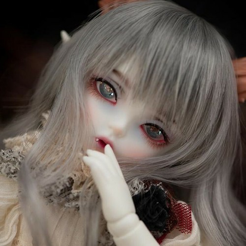 Foto 1 di 15