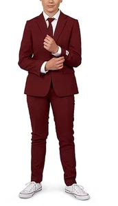 Burgundy Boys 2 Piece Suit Size 14 2 Button JacketNotch Lapel For Dances - Picture 1 of 3