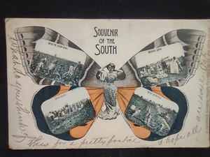 Tarjeta postal antigua recuerdo del sur 1906 fantasía Adolph Selige mariposa  - Imagen 1 de 10