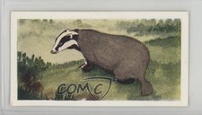 1954 Neilson's Chocolate Interesting Animals Badger #9 0j8f