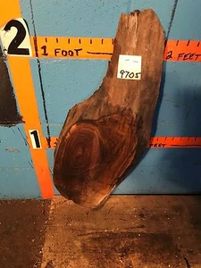 #9705 1 1/16" DICK Schwarznuss Live Edge Platte Schnittholz OFENGETROCKNET - Bild 1 von 2