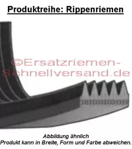 Antriebsriemen Keilriemen für Sitzergometer Bike Christopeit RS2 / RS 2 - Bild 1 von 1