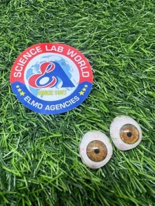 Augen Künstliche 2er Set - Bild 1 von 5