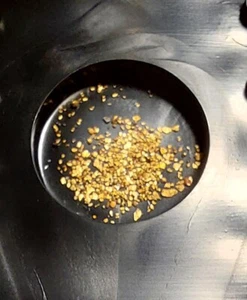 Gold, gediegen Sammlerprobe von der Kiesgrube Liebersee Elbe in Sachsen - Bild 1 von 2