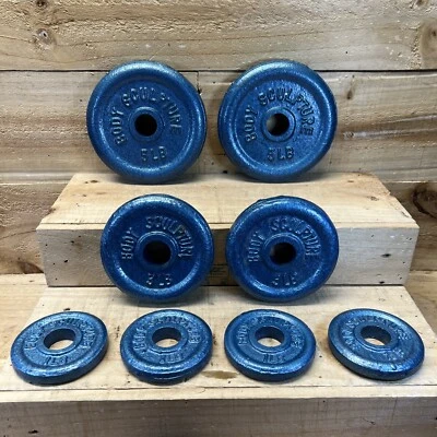 20 libras (8) escultura corporal hierro fundido pesas azules para barra mancuerna gimnasio Foto 1 de 4