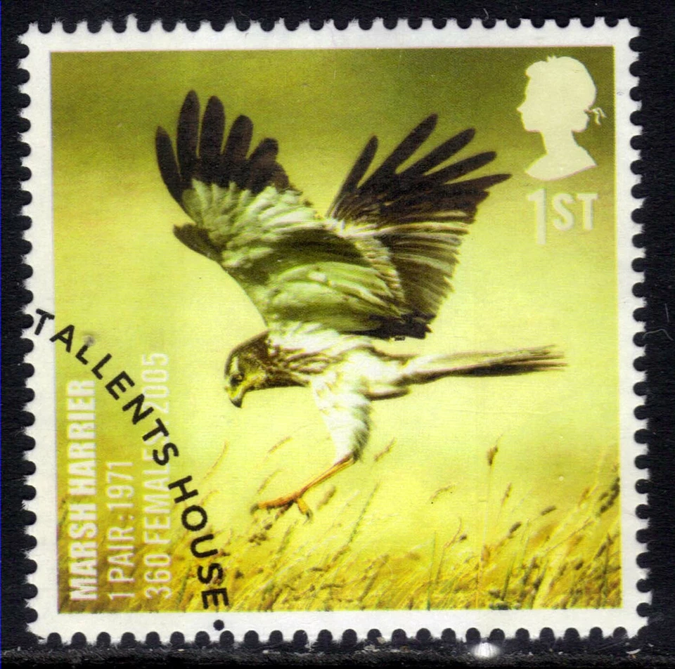 GB 2007 QE2 1st Action For Species Birds Marsh Harrier Ex Fdc SG 2768 ( L224 ) - Image 1 of 1