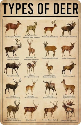 Vintage Deer Species Tin Sign Rustic Metal Wall Art for Hunters Man Cave Decor - Image 1 of 4
