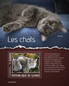 Guinea - 2019 Cat Breeds - Stamp Souvenir Sheet - GU190320b - Picture 1 of 1