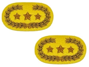 American Civil War Confederate Cavalry Generals Collar Insignia Badges New - Picture 1 of 2