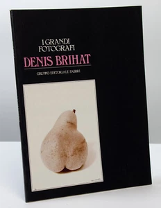 DENIS BRIHAT - I GRANDI FOTOGRAFI - Gruppo Editoriale Fabbri - Foto 1 di 1