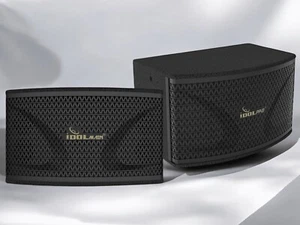 IDOLmain IPS-40 4000W 12" Breitbandlautsprechersystem mit Bass Booster - Bild 1 von 3