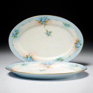 Forget Me Nots Hutschenreuther Blue Floral Porcelain Oval Serving Platter Pair - Picture 1 of 8