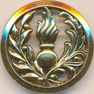 Insigne de béret, Intendance Commissariat, doré, dos lisse plat, Beraudy (11190) - Imagen 1 de 2