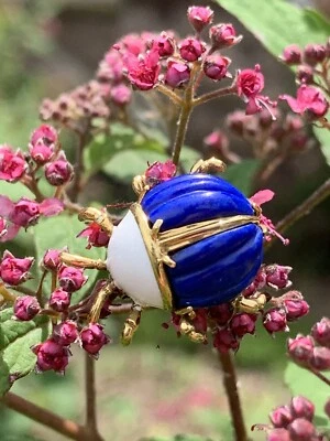 Broche prendedor Tiffany & Co oro 18K esmalte lapislázuli dama insecto buena suerte raro Foto 1 de 4