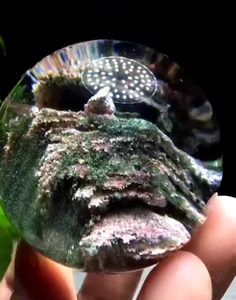 44.5mm Natural Garden quartz sphere Crystal Energy ball healing+stand - Picture 1 of 9