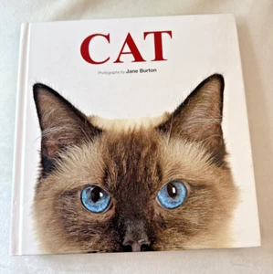 CAT Photographs by Janes Burton - Picture 1 of 8