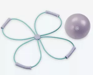 Gaiam Ultimate Core Toning Kit brand new! - Picture 1 of 4