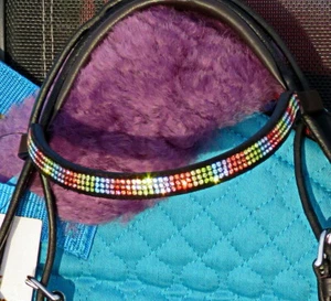 FSS Crystal Bling Browband RAINBOW MINI STRIPES VIVID U Curve V Shape Straight - Picture 1 of 3