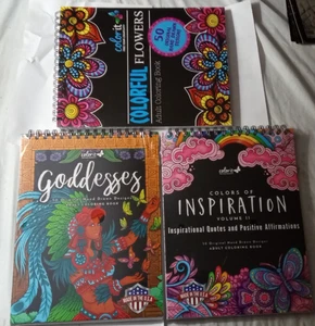 lot of 3 ColorIt Adult Coloring Book 50 pgs Hasby Mubarok: Goddesses, Flowers - Foto 1 di 8