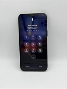 Read No Passcode iPhone 12 Pro Max 256gb Graphite As Is Parts Or Repair - Afbeelding 1 van 8