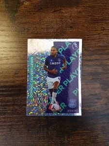 Panini Premier League 2021 Official Sticker Everton - 221 - Picture 1 of 1
