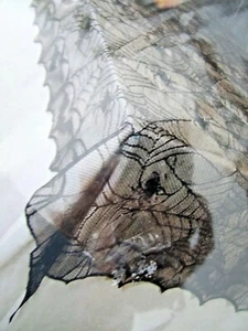 Gothic Black Lace Tablecloth Spider Web Bats Table Cloth Halloween Party Spooky - Picture 1 of 5